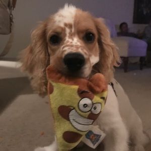 Meet your Posher, Amberly